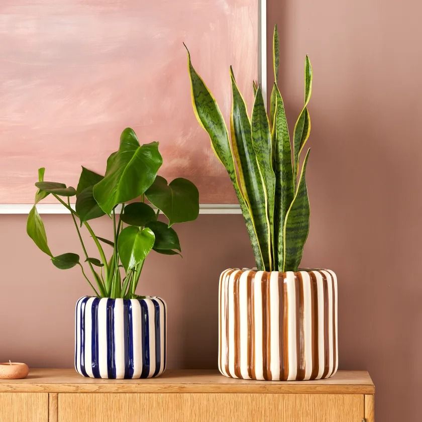 Colour Swap Pot Cover