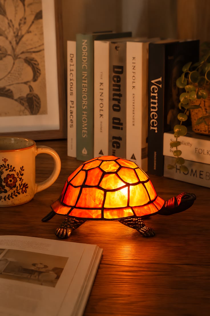 Cube Tortoise