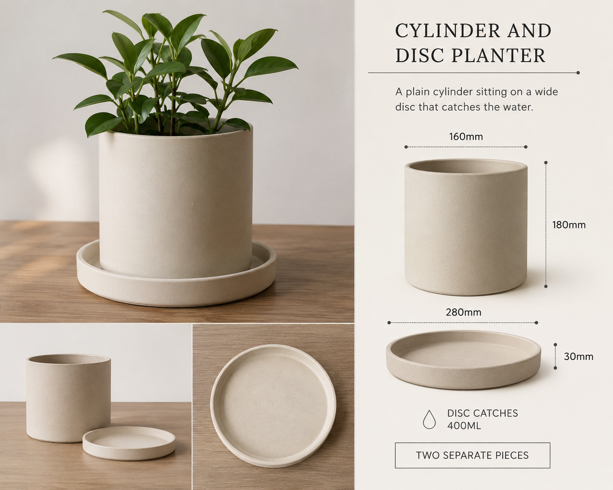 Cylinder And Disc Planter