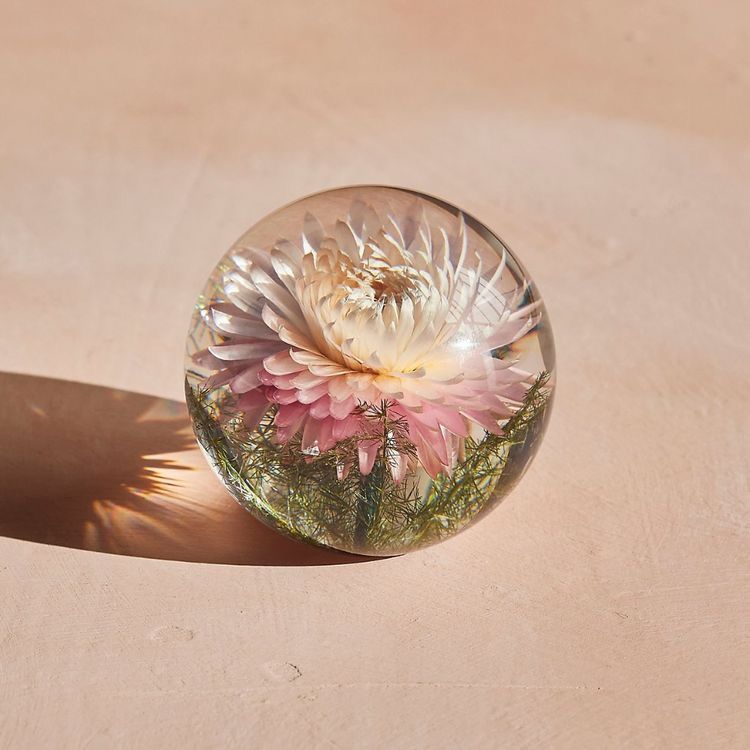 Disc Paperweight