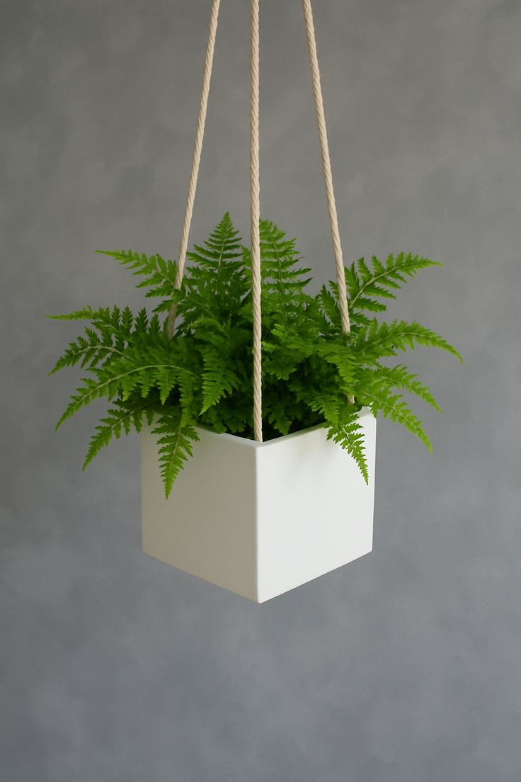 Hard Edge Hanging Planter