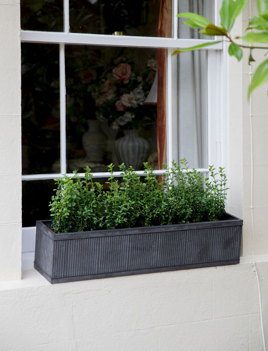 Stripe Window Box